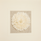 Handmade Sola Flower Paper Wall Art on Linen Backing, White Gold Leaf Frame - Jemento
