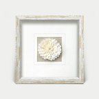 Handgefertigte Sola-Blume im weiß-goldenen Vintage-Rahmen - Jemento
