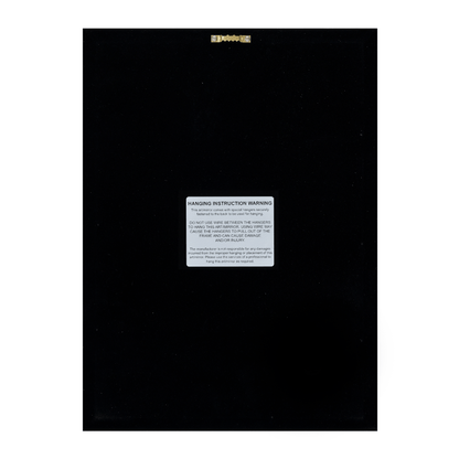 The Gilded Obsidian Cube – A Limited Museum Collection - Jemento